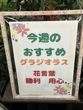 今週のおすすめ　weekly Flower 457｜「いなげ花店」　（山形県上山市の花キューピット加盟店 花屋）のブログ