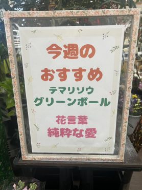 今週のおすすめ　weekly Flower 458｜「いなげ花店」　（山形県上山市の花キューピット加盟店 花屋）のブログ