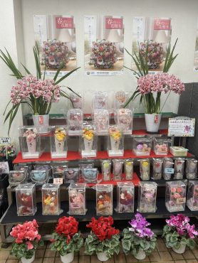 シンビジウム　キャスケード｜「いなげ花店」　（山形県上山市の花キューピット加盟店 花屋）のブログ