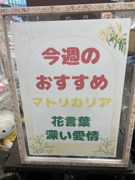 今週のおすすめ　weekly Flower 460｜「いなげ花店」　（山形県上山市の花キューピット加盟店 花屋）のブログ