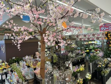 咲いた咲いた桜が咲いた|「いなげ花店」　（山形県上山市の花屋）のブログ