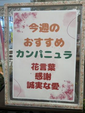 今週のおすすめ　weekly Flower 474｜「いなげ花店」　（山形県上山市の花キューピット加盟店 花屋）のブログ
