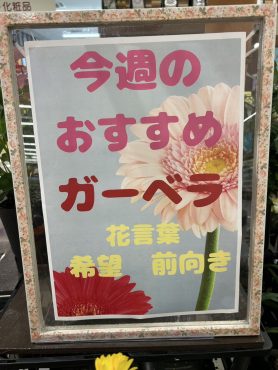 今週のおすすめ　weekly Flower 475｜「いなげ花店」　（山形県上山市の花キューピット加盟店 花屋）のブログ