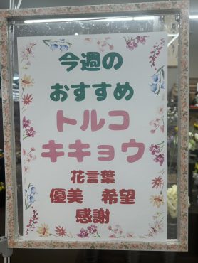 今週のおすすめ　weekly Flower 476｜「いなげ花店」　（山形県上山市の花キューピット加盟店 花屋）のブログ