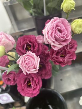 【マキアルージュ】という名前のトルコキキョウ|「いなげ花店」　（山形県上山市の花屋）のブログ