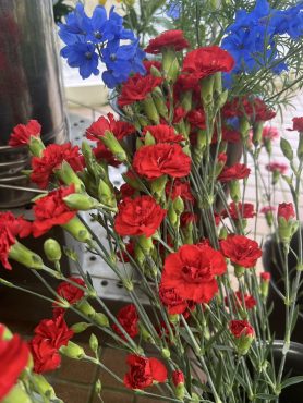 【チカス】という名前のスプレーカーネーション｜「いなげ花店」　（山形県上山市の花キューピット加盟店 花屋）のブログ