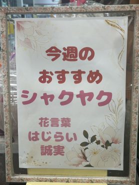 今週のおすすめ　weekly Flower 477｜「いなげ花店」　（山形県上山市の花キューピット加盟店 花屋）のブログ