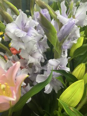 【ミルカ】という名前のグラジオラス|「いなげ花店」　（山形県上山市の花屋）のブログ
