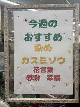今週のおすすめ　weekly Flower 482｜「いなげ花店」　（山形県上山市の花キューピット加盟店 花屋）のブログ
