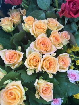 【フェスティボ】という名前の薔薇｜「いなげ花店」　（山形県上山市の花キューピット加盟店 花屋）のブログ