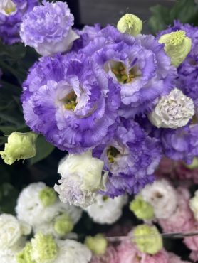 【ボヤージュブルー】という名前のトルコキキョウ|「いなげ花店」　（山形県上山市の花屋）のブログ