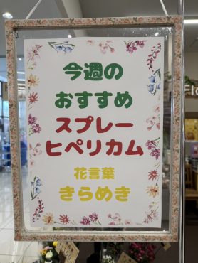 今週のおすすめ　weekly Flower 487｜「いなげ花店」　（山形県上山市の花キューピット加盟店 花屋）のブログ