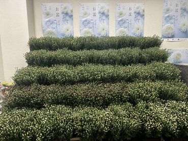 お盆を前に③｜「いなげ花店」　（山形県上山市の花キューピット加盟店 花屋）のブログ