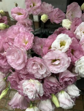 【ラビアージュ】という名前のトルコキキョウ｜「いなげ花店」　（山形県上山市の花キューピット加盟店 花屋）のブログ