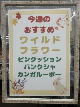 今週のおすすめ　weekly Flower 492｜「いなげ花店」　（山形県上山市の花キューピット加盟店 花屋）のブログ