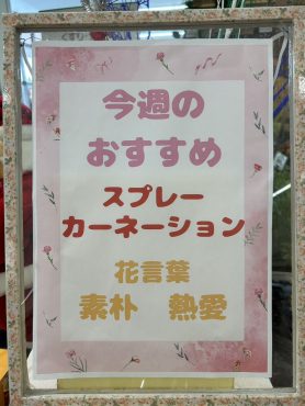 今週のおすすめ　weekly Flower 495｜「いなげ花店」　（山形県上山市の花キューピット加盟店 花屋）のブログ
