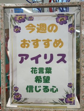 今週のおすすめ　weekly Flower 497｜「いなげ花店」　（山形県上山市の花キューピット加盟店 花屋）のブログ