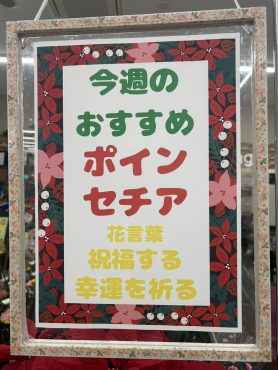 今週のおすすめ　weekly Flower 499｜「いなげ花店」　（山形県上山市の花キューピット加盟店 花屋）のブログ