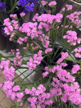 【イーリスピンク】という名前のスターチス｜「いなげ花店」　（山形県上山市の花キューピット加盟店 花屋）のブログ