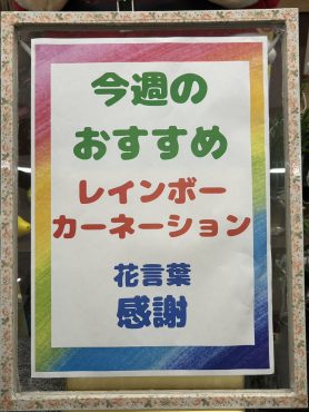 今週のおすすめ　weekly Flower 502｜「いなげ花店」　（山形県上山市の花キューピット加盟店 花屋）のブログ