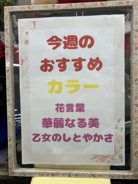 今週のおすすめ　weekly Flower 503｜「いなげ花店」　（山形県上山市の花キューピット加盟店 花屋）のブログ