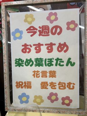 今週のおすすめ　weekly Flower 504｜「いなげ花店」　（山形県上山市の花キューピット加盟店 花屋）のブログ
