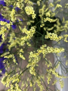 【キノルミナス】という名前の宿根スターチス｜「いなげ花店」　（山形県上山市の花キューピット加盟店 花屋）のブログ