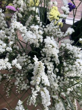 【ミルキーウェイ】という名前のスターチス｜「いなげ花店」　（山形県上山市の花キューピット加盟店 花屋）のブログ