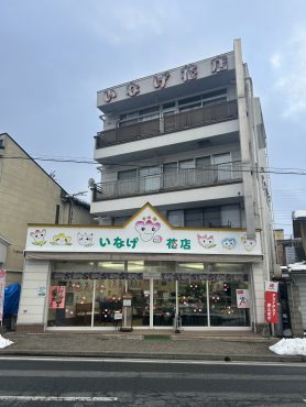 雪の少ない立春｜「いなげ花店」　（山形県上山市の花キューピット加盟店 花屋）のブログ