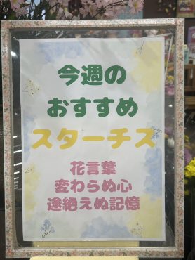 今週のおすすめ　weekly Flower 513|「いなげ花店」　（山形県上山市の花屋）のブログ