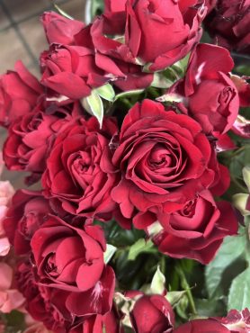 【レッドディメンション】という名前のスプレーバラ|「いなげ花店」　（山形県上山市の花屋）のブログ