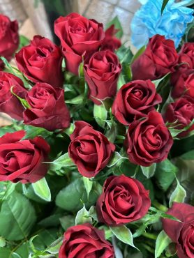 【レッドジャイアント】という名前の薔薇|「いなげ花店」　（山形県上山市の花屋）のブログ