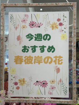 今週のおすすめ　weekly Flower 514｜「いなげ花店」　（山形県上山市の花キューピット加盟店 花屋）のブログ
