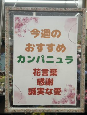 今週のおすすめ　weekly Flower 516｜「いなげ花店」　（山形県上山市の花キューピット加盟店 花屋）のブログ