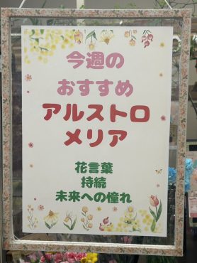 今週のおすすめ　weekly Flower 517｜「いなげ花店」　（山形県上山市の花キューピット加盟店 花屋）のブログ
