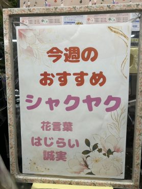 今週のおすすめ　weekly Flower 519｜「いなげ花店」　（山形県上山市の花キューピット加盟店 花屋）のブログ