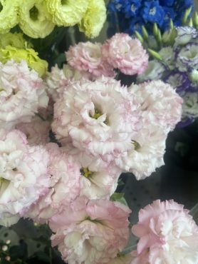 【セレブサクラピンク】という名前のトルコキキョウ｜「いなげ花店」　（山形県上山市の花キューピット加盟店 花屋）のブログ